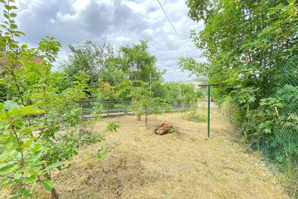 Appartement Rez-De-Chaussee Laon Eksteriør bilde